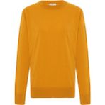 Peraluna Mateo O Neck Pullover Yumuşak Tuşeli Mevsimlik Erkek Triko Kazak - Hardal - 2XL