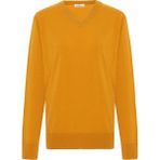 Peraluna Mateo V Neck Pullover Yumuşak Tuşeli Mevsimlik Erkek Triko Kazak - Hardal - XL