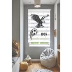 Perdecizade (ENXBOY)KARTAL (İSİM YAZILIR)DİJİTAL BASKILI ZEBRA PERDE-COCUK ODASI-STOR PERDE