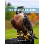 Peregrine Falcon: A perfect Coffee Table Picture Book - For Bird Watchers and Nature Enthusiasts .
