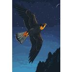 Peregrine Falcon and The Night Sky Notebook: Lined Paper for Notes, Thoughts, Diary, School
