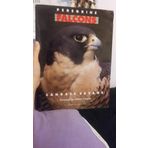 Peregrine Falcons
