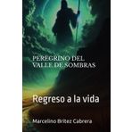 PEREGRINO DEL VALLE DE SOMBRAS: REGRESO A LA VIDA