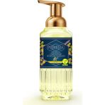 Pereja Mimoza 500 ml Köpük Sabun