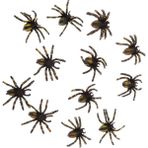 Perfeclan 12 Adet Pvc Gerçekçi Örümcek Böcek Modeli Hayvan Çocuk Oyuncakları Koleksiyonu Hediyeler (Yurt Dışından) - Renkli