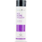 Perfect Shine No More Yellow 300 ml Keratinli Mor Şampuan Parabensiz Sarı Gri Platin Saçlar İçin - Renksiz