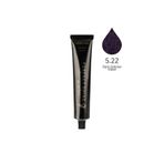 Perfect Shine Permanent Profesyonel 100 ml 5.22 Koyu Yoğun Viyole Saç Boyası