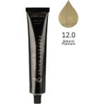 Perfect Shine Permanent Profesyonel Saç Boyası 100ml - Küllü Platin Ultra Açıcı/Küllü Platin(EXT LIGHT-12.01) - 12.01 - Küllü Platin Ultra Açıcı