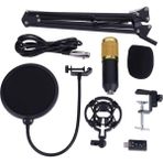 Perfk BM-800 Broadcast Studio Kayıt Kondenser Mikrofonu (Yurt Dışından)