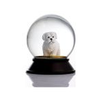 Peri Store Cam ve Reçine Altın Patiler Köpek Maltese Terrier Kar Küresi Hediye - 0,35 lt