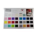 Permolit Metalik Gümüş Rengi Hobi Boyası Multısurface Akrilik Boya Tüm Yüzeyler Için Kokusuz 120 ml 2 Adet