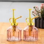 Perotti 15733 2'Li Mor Vintage Cam Bitki Sulama Şişesi Oda Kokusu Dağıtıcı Cam Dağıtıcı Sprey 250Ml