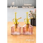 Perotti 15733 2li Mor Vintage Cam Bitki Sulama Şişesi Oda Kokusu Dağıtıcı Cam Dağıtıcı Sprey Yağlık 250ml