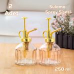 Perotti 15733 2'Li Pembe Vintage Cam Bitki Sulama Şişesi Oda Kokusu Dağıtıcı Cam Dağıtıcı Sprey 250Ml