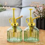 Perotti 15733 2'Li Yeşil Vintage Cam Bitki Sulama Şişesi Oda Kokusu Dağıtıcı Cam Dağıtıcı Sprey 250Ml