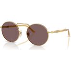 Persol 0PO1019S 11295353 Unısex Gözlük - Standart