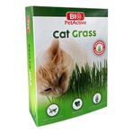 Pet Active Cat Grass Kedi Çimi