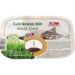 Pet Active Kedi Çimi