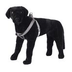 Pet Champion Konforlu Göğüs Pedi Minderi Çekmesiz Basamaklı Kolay Kurşun Köpek Koşum, Çeşitli Renkler, Orta 1,5 cm x 14-20 inç