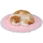 Pet Home TG-PB0101 54 cm. Yuvarlak Dantel Tasarım Yumuşak Peluş Sıcak Pet Paspas Köpek Kedi Dinlenme Uyku Pedi (Yurt Dışından) - Beyaz - 48 x 25 x 7 cm