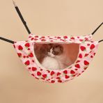 Pet Home TG210700229 Kedi Kafesi Hamak Asılı Yumuşak Çift Katmanlı Pet Yatak Yürüyüş Gelincik Yavru Hayvan Hamak (Yurt Dışından) - Kırmızı - 37 x 30 x 9 cm