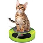 Pet Otomatik Oyuncak Tease Kediler Interaktif Fare Sürme Pikap Oyuncak Akıllı Alay Kedi Sopa Çılgın Oyunu Kedi Oyuncak | Kedi Oyuncakları | (Yurt Dışından) - Yeşil