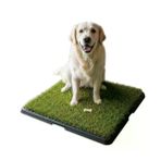 Pet Pretty Greenpee Köpek Tuvaleti Çimli Büyük 61x81
