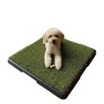 Pet Pretty Greenpee Köpek Tuvaleti Çimli Küçük 40x60