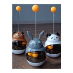 pet Rabbit Mamamatik Hacıyatmaz