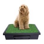Pet Safe Loo Orta Boy 63x 63 cm Köpek Tuvaleti