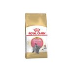 Pet Supplies British Shorthair Yavru 2 kg Kedi Maması