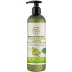 Petal Fresh 355 ml Üzüm Çekirdeği & Zeytinyağı Özlü Nemlendirici El ve Vücut Losyonu