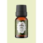 Petarya Carhamus Tinctorious Oil 10 ml %100 Saf Uçucu Çam Yağı