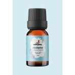 Petarya Eucalyptus Globulus 10 ml %100 Saf Uçucu Okaliptüs Yağı