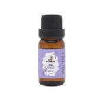 Petarya Pelargonium Graveolens 10 ml %100 Saf Uçucu Itır Yağı