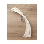 Petek Rattan 27 cm Çapında Çember Kalıp (36 Çubuk) - Rattan Bambu Sepet Örme Sabitleyici Tepsi Kalıbı