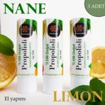 Petekoğlu 3 Adet Dudak Kremi Propolis Bal Nane Limon Aynısefa Shea Hindistan Cevizi Üzüm Çekirdeği Yağları Balmumu Lipstick Balm Doğal
