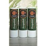 Petekoğlu (3 Adet) Propolis, Bal, Shea , Hindistan Cevizi ve Zeytinyağı El Yapımı Dudak Kremi Nemlendirici Onarıcı