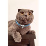 Petella Kedi Boyun Tasması Zilli Kedi Kolyesi Bohem Mavi Çiçekli Mavi Çiçekli Standart