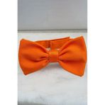 Peti Tailor Kedi ve Köpekler İçin Açık Turuncu Papyon