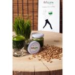 Petiçim Buğday Çimi Suyu 21 Günlük Paket - 1 Paket