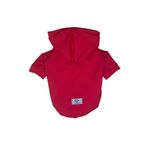PetiliDünya Kedi Köpek Kıyafeti & Elbisesi Basic Hoodie