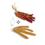Petistera 150Gr Ak Dal Dari & 150Gr Kizil Dal Dari + Tutacak