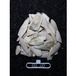 Petistera 2. Kalite Kırık Kalamar Kemiği 100 gr + Tutacak