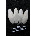 Petistera 4'lü Temizlenmiş Mürekkep Balığı (Kalamar) Kemiği 7-8cm ve Tutacak