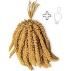 Petistera Ak Dal Darı 250 gr + Tutacak