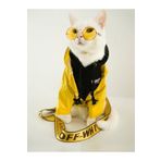 Petistera Kedi Gözlüğü 7 Cm - Sarı Renk