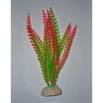 Petistera PB09 Plastik Akvaryum Bitkisi 20 cm