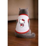 Petite Pati Beyaz Hello K1 Baskili Kedi Tshirt Kedi Kiyafeti (%100 Pamuk Penye) - XS