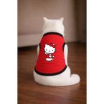 Petite Pati Kırmızı Hello K1 Baskili Kedi Tshirt Kedi Kiyafeti (%100 Pamuk Penye) - 2XL